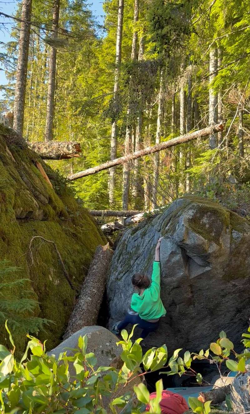 Come Along v7, Gold Bar - Beta Video from nicolemaksi