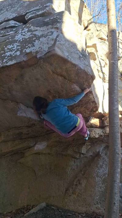 What Fence v6, Stone Fort - Beta Video from charraee