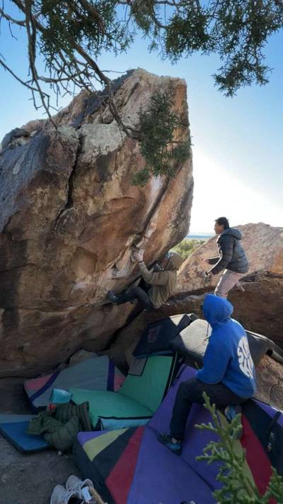 Cretaceous v9, Triassic - Beta Video from brenner.rauch