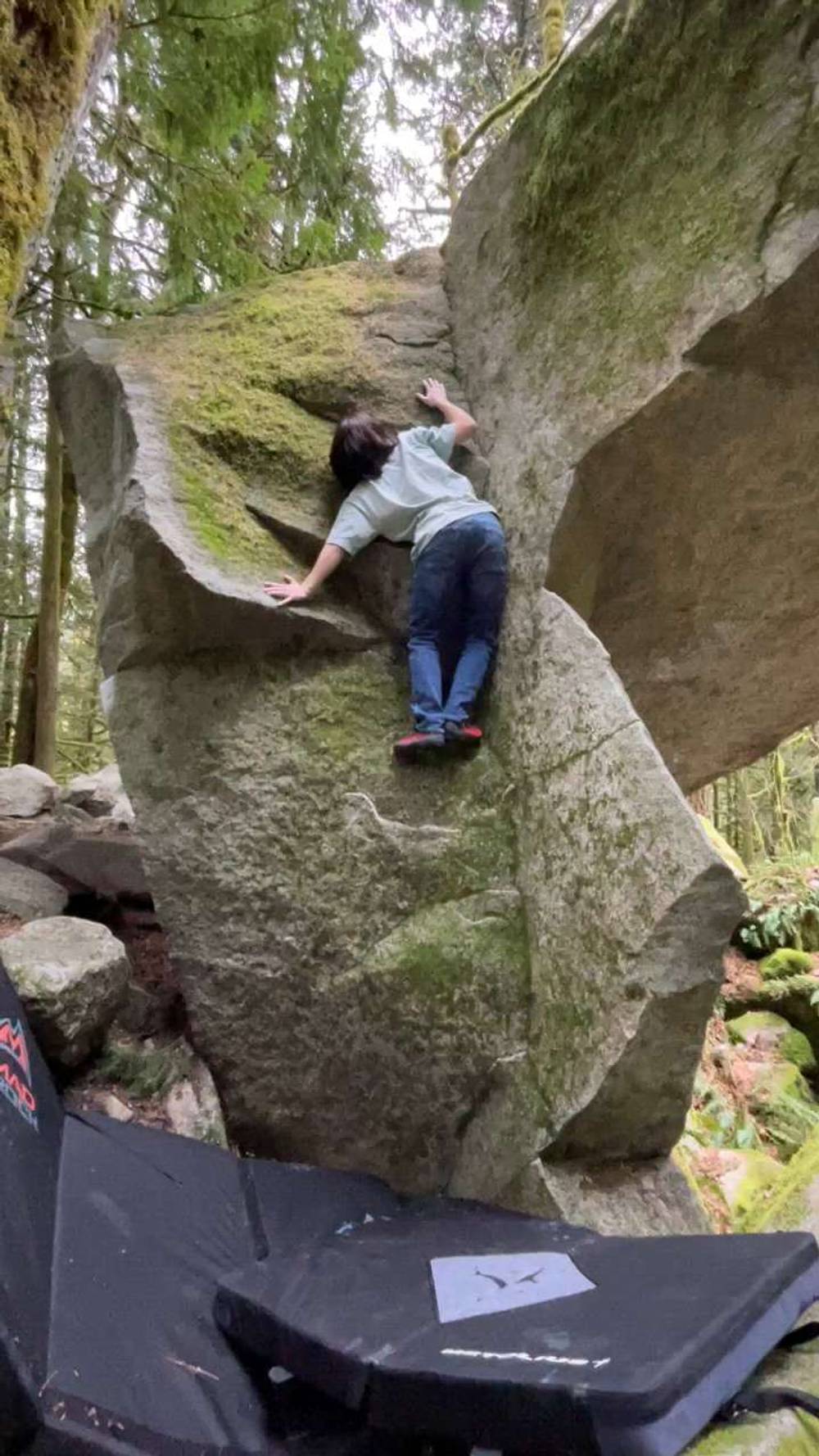 Unnamed Dihedral (Zelda) v0, Index - Beta Video from Somnicyc