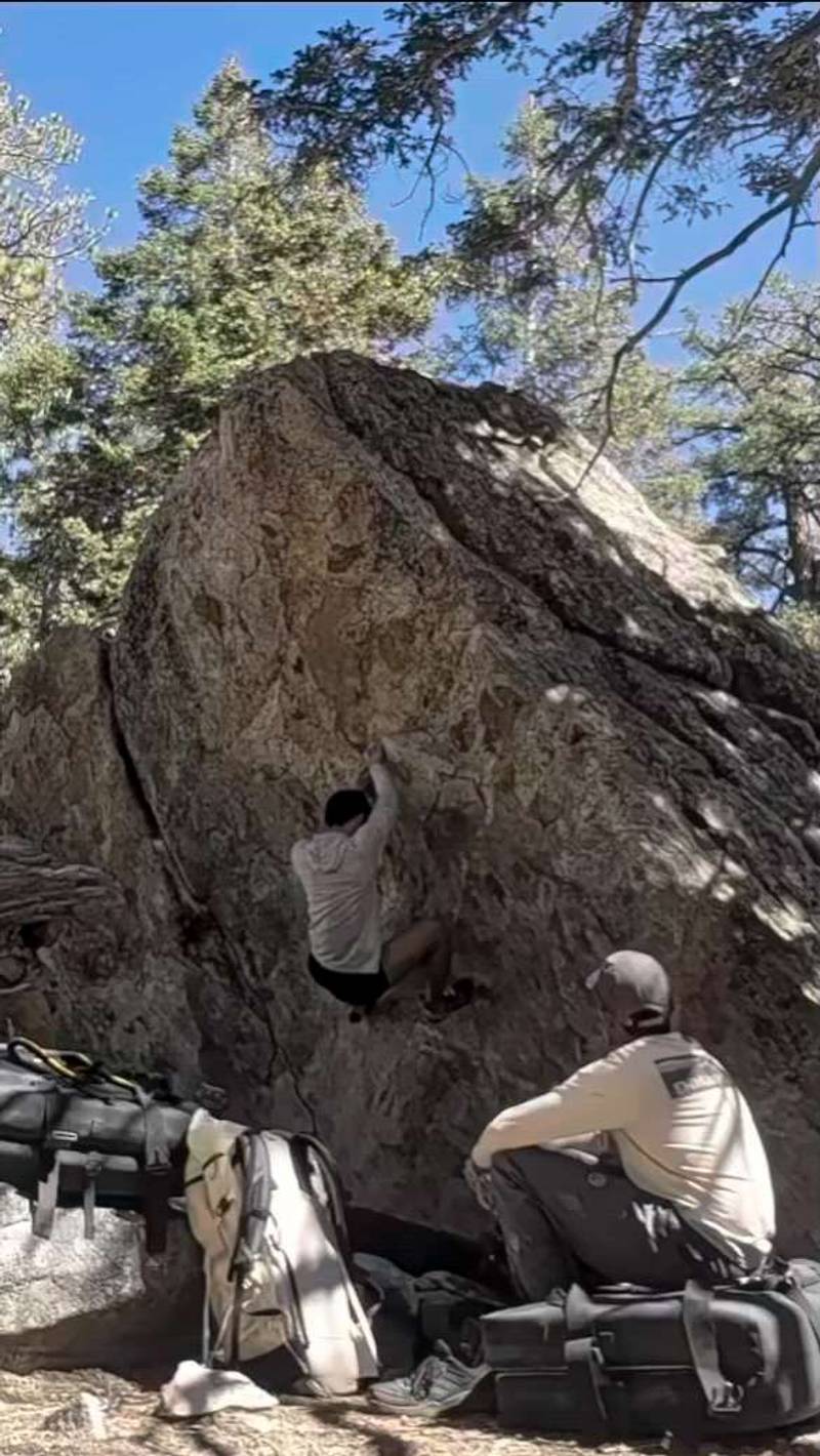 Dead Tree Face v3, Tramway - Beta Video from phil_leaps_uphill