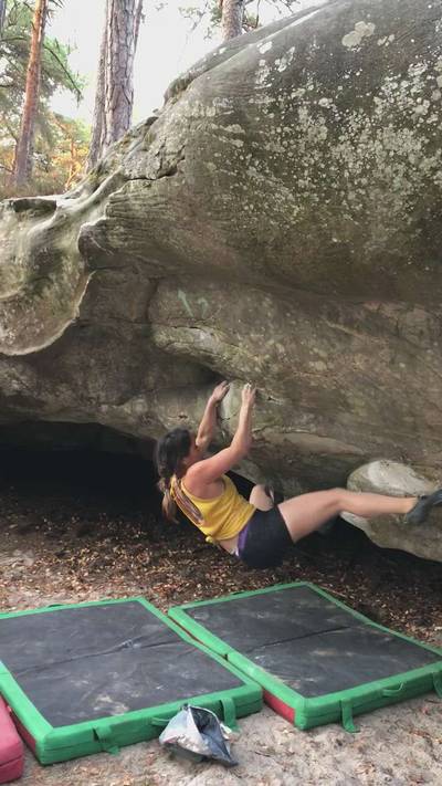 Fantasia v5, Fontainebleau - Beta Video from just.a.michelle