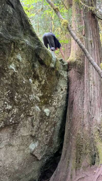 Combustion Dyno v9, Squamish - Beta Video from bscorpiio