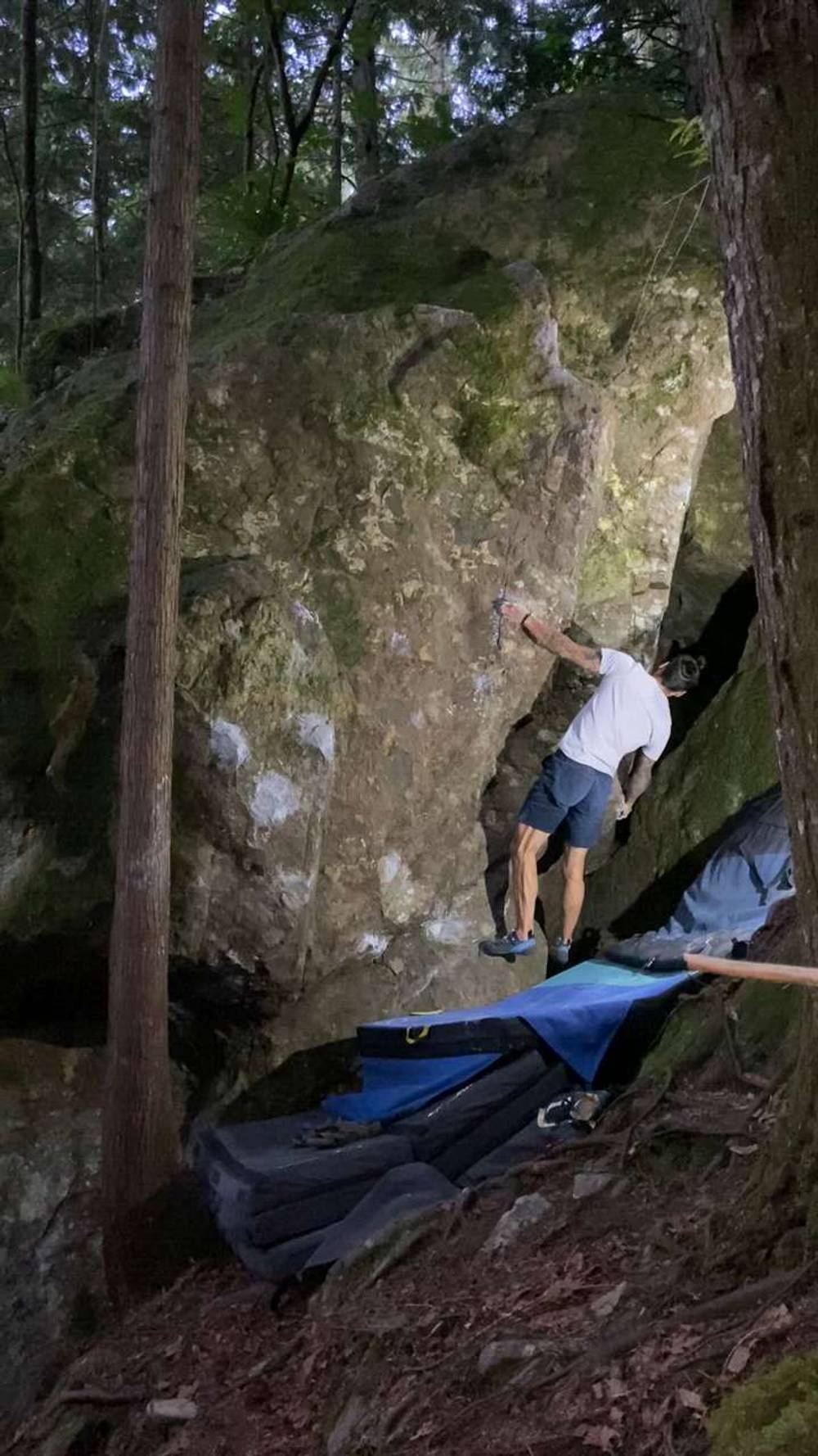 Goodbye Turd v4, Comox Lake - Beta Video from Sato_Send