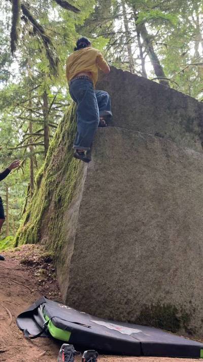 Cheek Arete v1, Index - Beta Video from TaraIsAFish