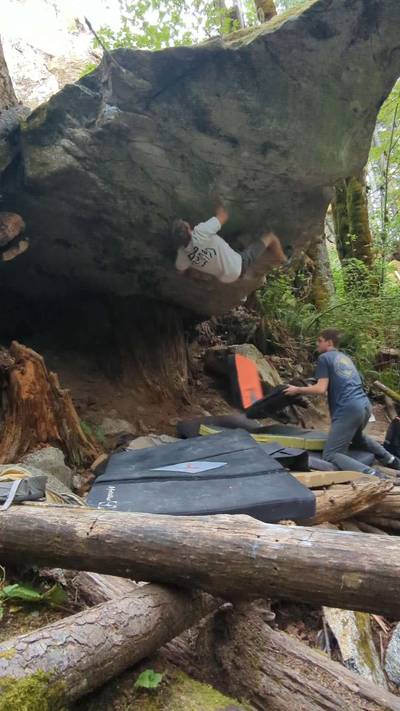 Mousetrap v10, Stevens Pass - Beta Video from Trumkin