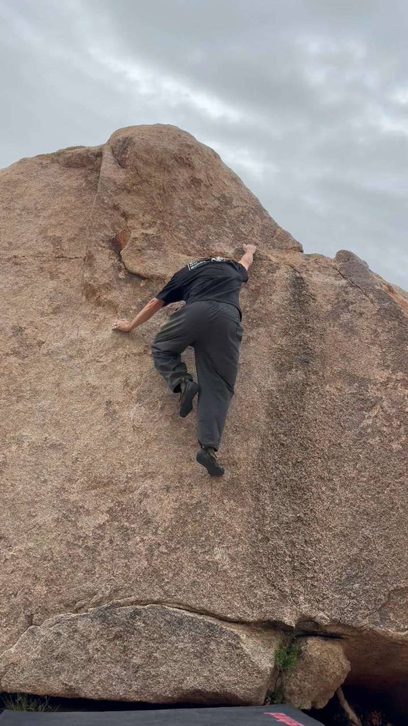 Penny Pincher v0, Joshua Tree - Beta Video from aviv