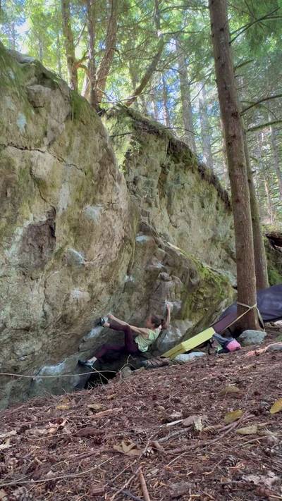 Designated Hitter v5, North Bend - Beta Video from nicolemaksi
