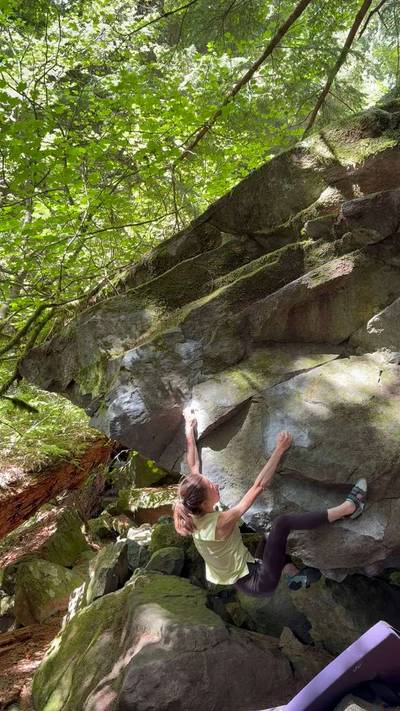 Rhino Chin v5, North Bend - Beta Video from nicolemaksi