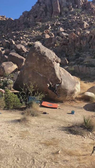 Swinging Richard v4, Joshua Tree - Beta Video from j.k0000