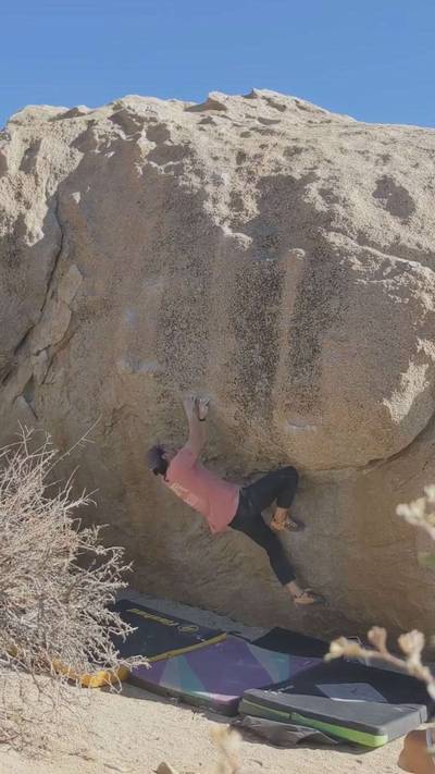 Milk the Milks v6, Bishop - Beta Video from Herb_Sends