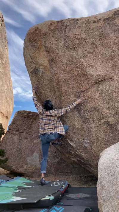 Flight Attendant v4, Joshua Tree - Beta Video from advian