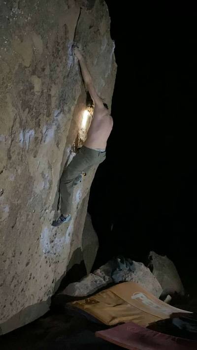 Molly v5, Bishop - Beta Video from aviv