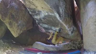 Beefy Gecko v10, Bishop - Beta Video from seanmorris