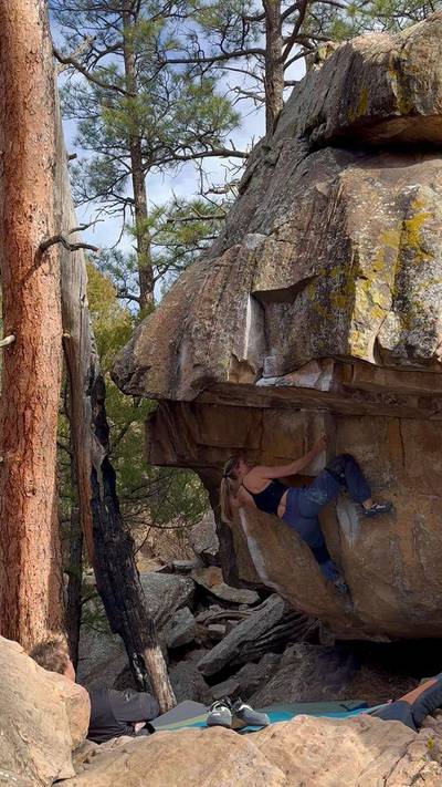 Pebble Cup v7, Roy - Beta Video from sarah_agnew