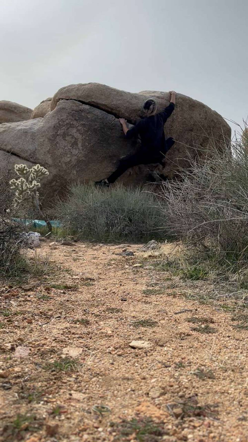 Savage Right v2, Joshua Tree - Beta Video from j.k0000