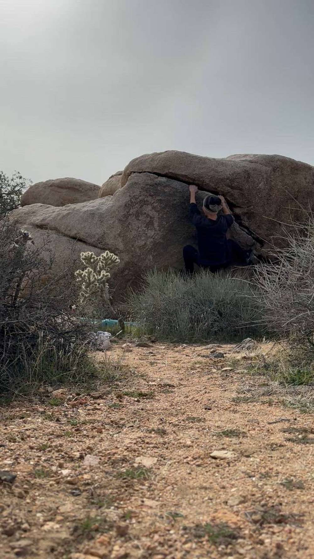 Painted Savage v1, Joshua Tree - Beta Video from j.k0000