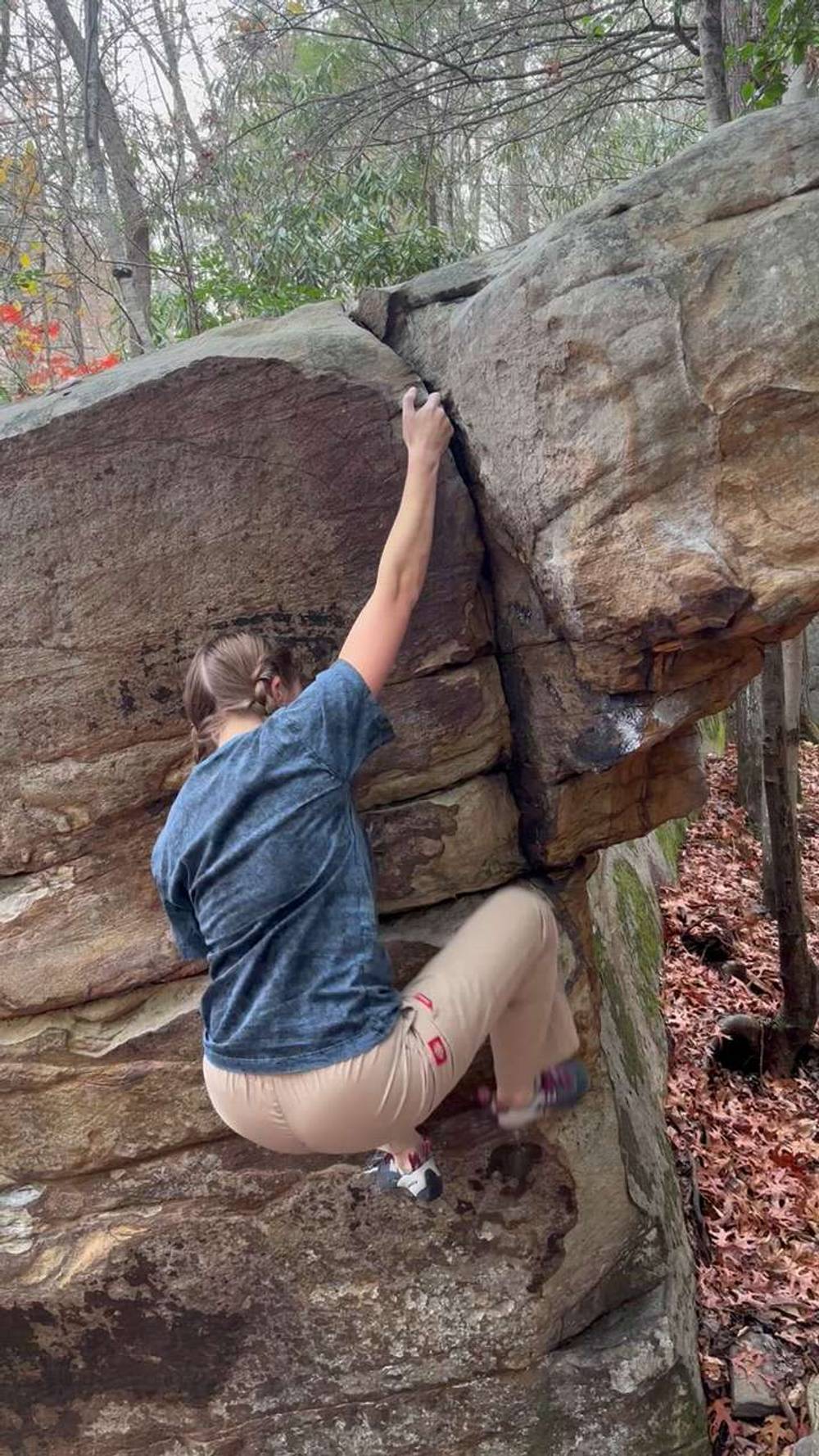 Tyrannosaurus Arete v0, New River Gorge - Beta Video from meg.ascends