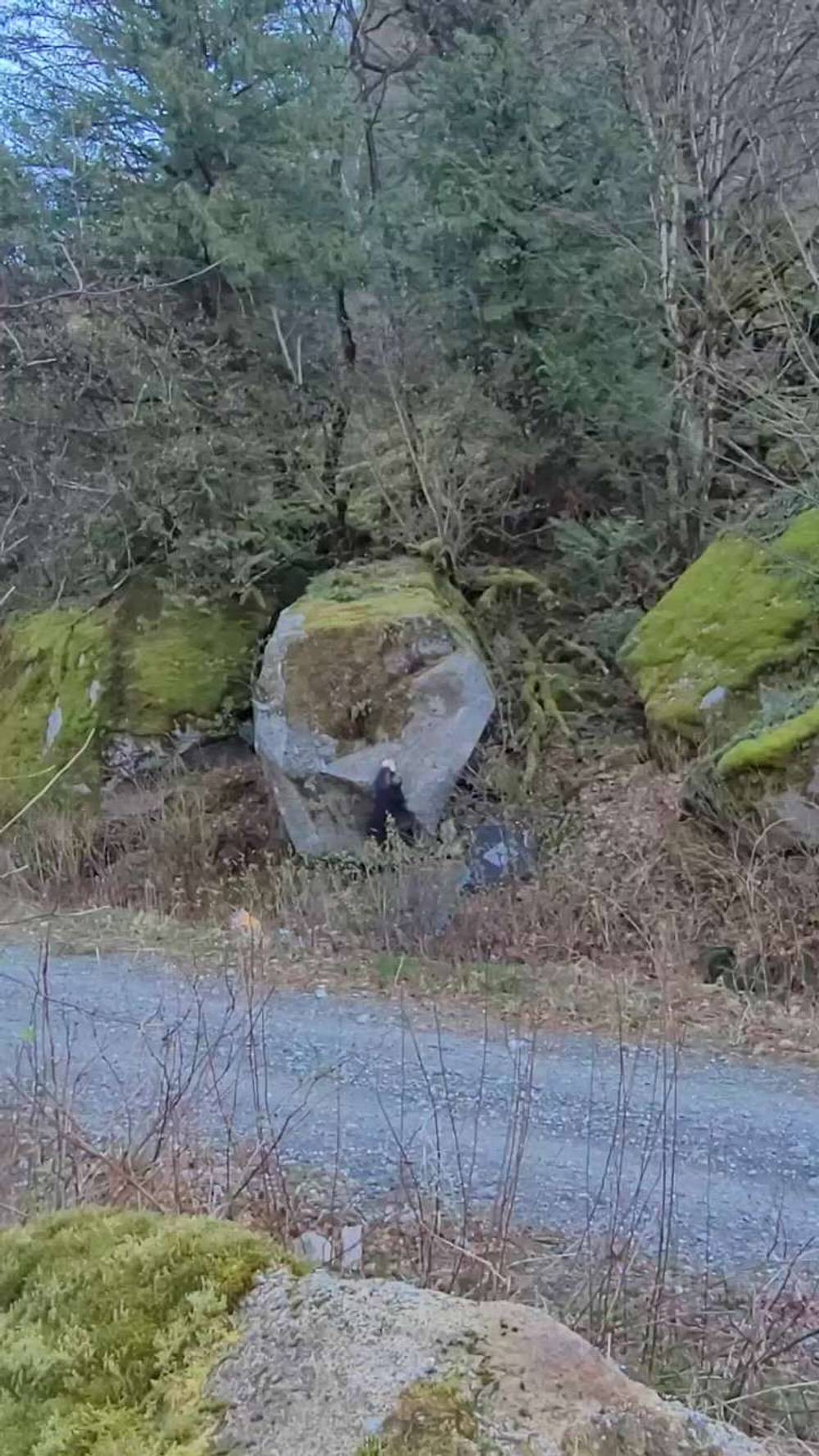 Head Games v7, Fraser Valley - Beta Video from HoogstraS