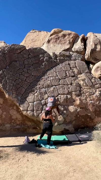 Dragon Scales vB, Joshua Tree - Beta Video from jimmayen