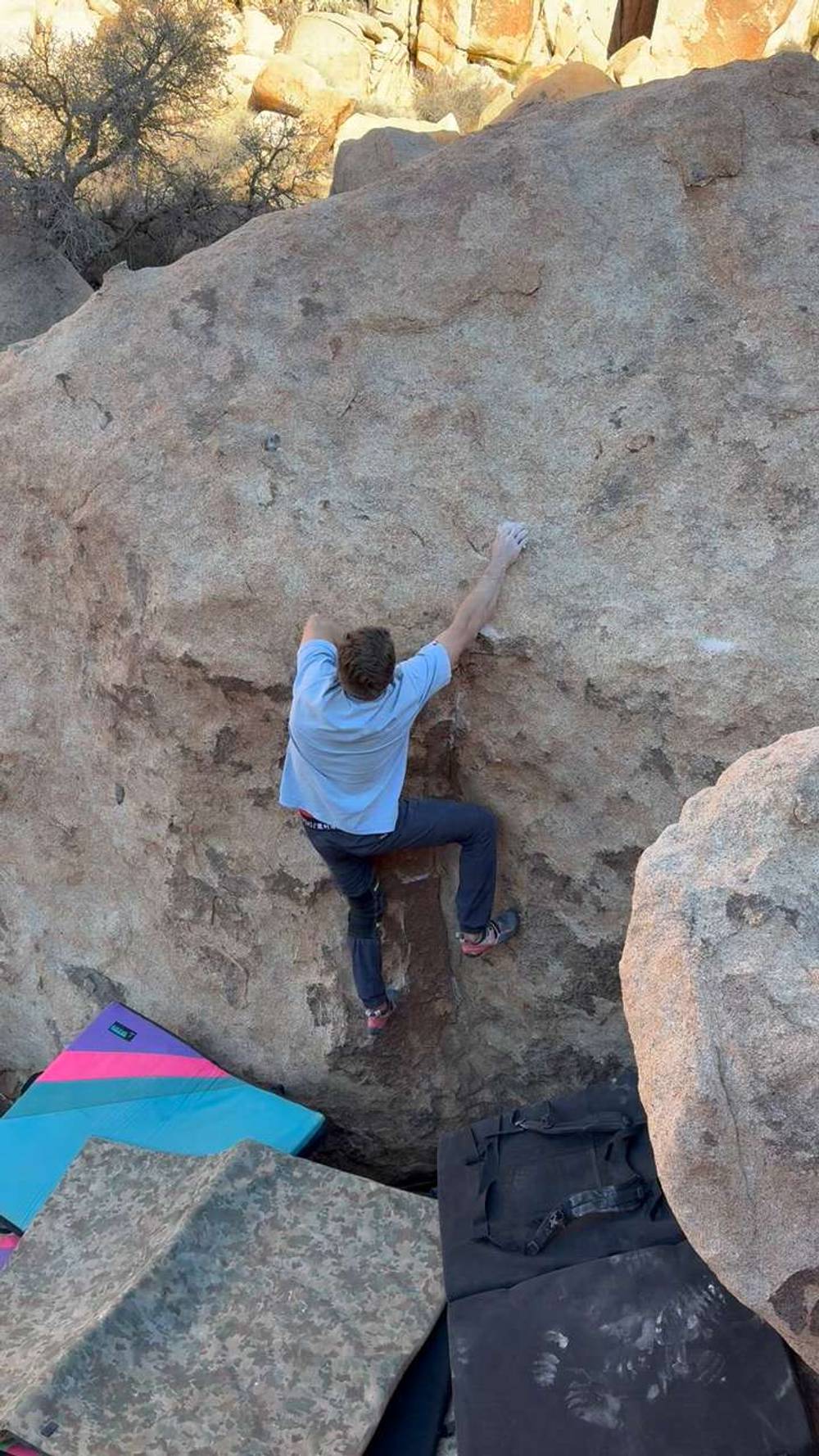 Bookmark v5, Joshua Tree - Beta Video from Baileybeluga