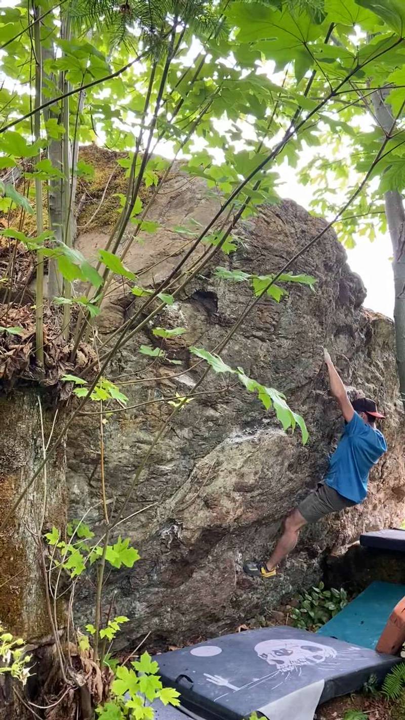 Shoe Fly v2, Comox Lake - Beta Video from Bouldering_Bushido