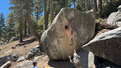 Vegan Shoveler v7, Black Mountain - Beta Video from SWSon