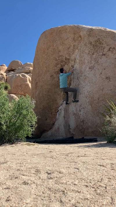 Chube v2, Joshua Tree - Beta Video from 44