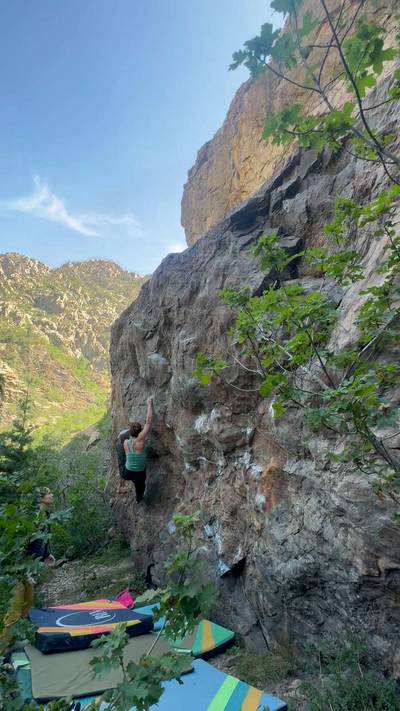 Valley of Orchids v10, Big Cottonwood Canyon - Beta Video from CarrieCooperDPT