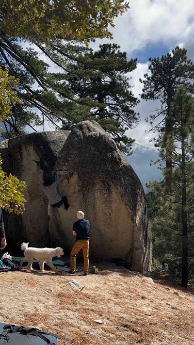 El Brute v7, Black Mountain - Beta Video from j.k0000
