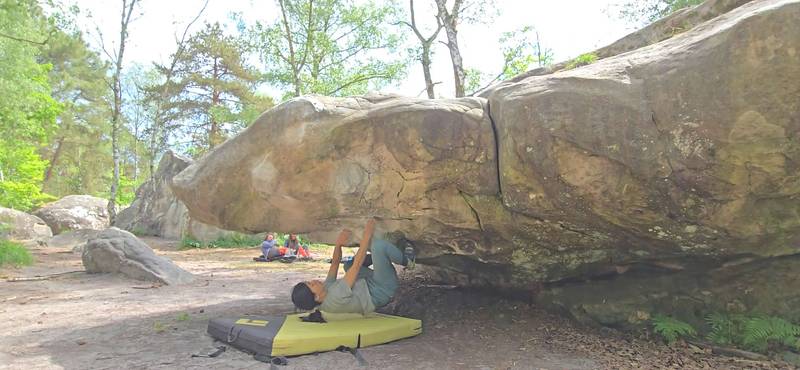Le Nez v5, Fontainebleau - Beta Video from joycekay
