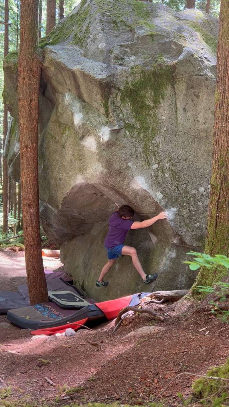 Man From Out of Town v9, North Bend - Beta Video from Douglas