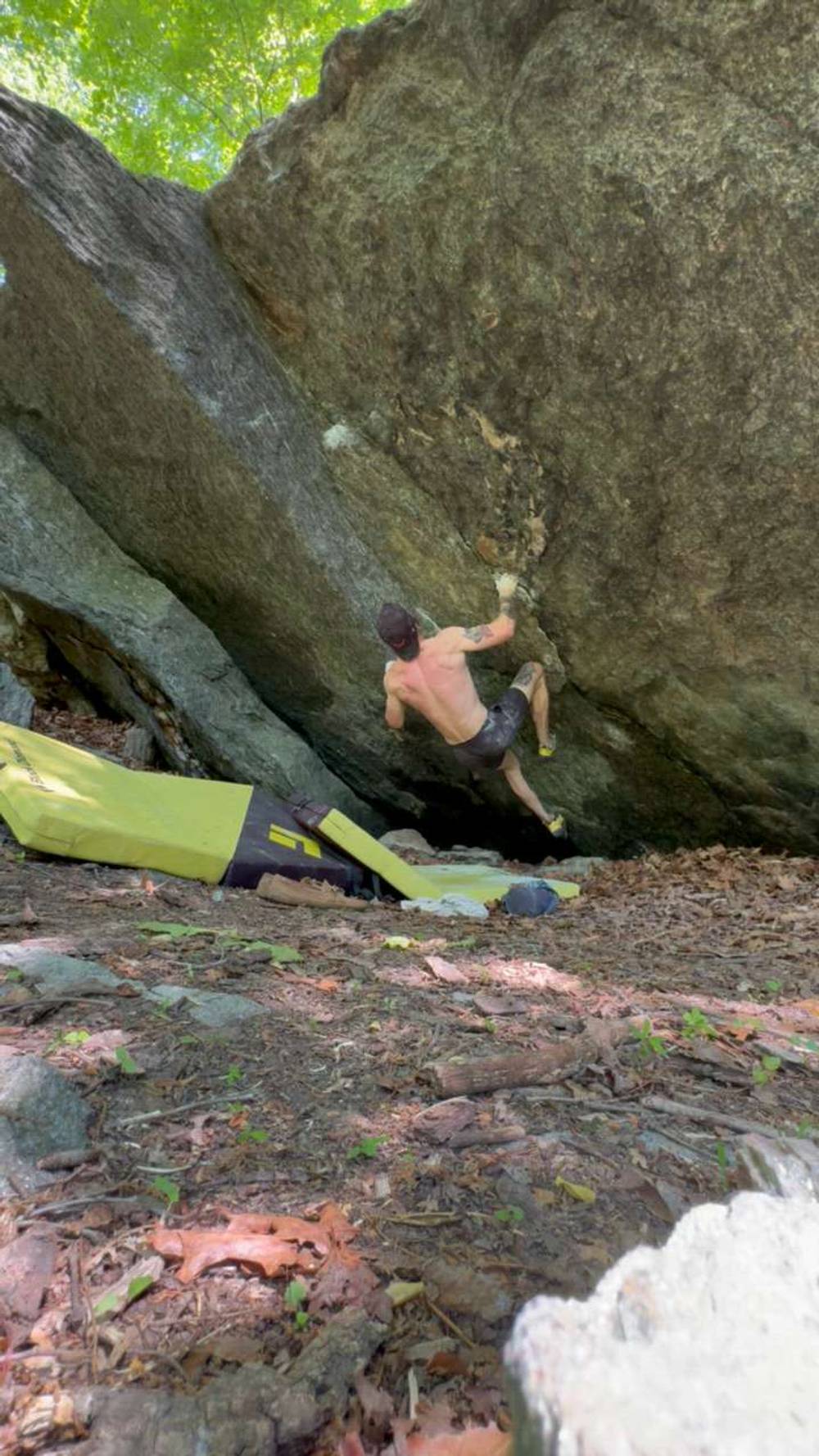 Brown Recluse v5, Gunpowder Falls - Beta Video from carterlr