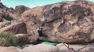 Chorizo Tacos v4, Joshua Tree - Beta Video from j.k0000