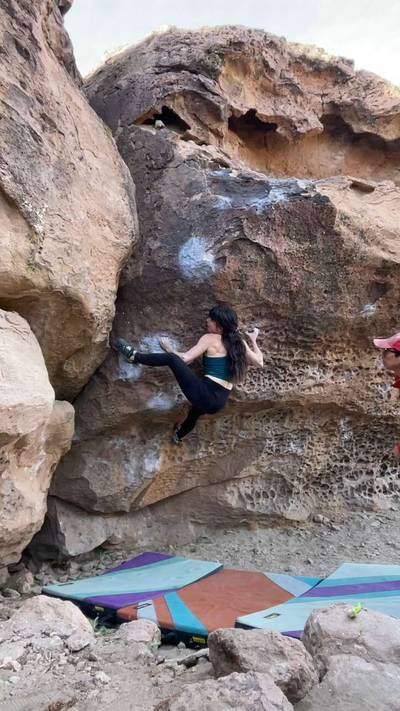 Hamtaro v8, Bishop - Beta Video from mandykeathley