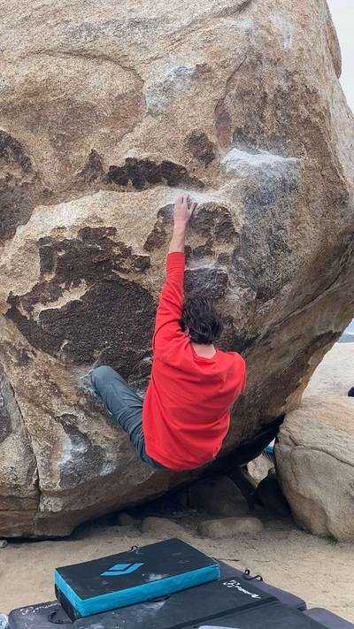 Strawberry Contraceptives v7, Joshua Tree - Beta Video from aviv