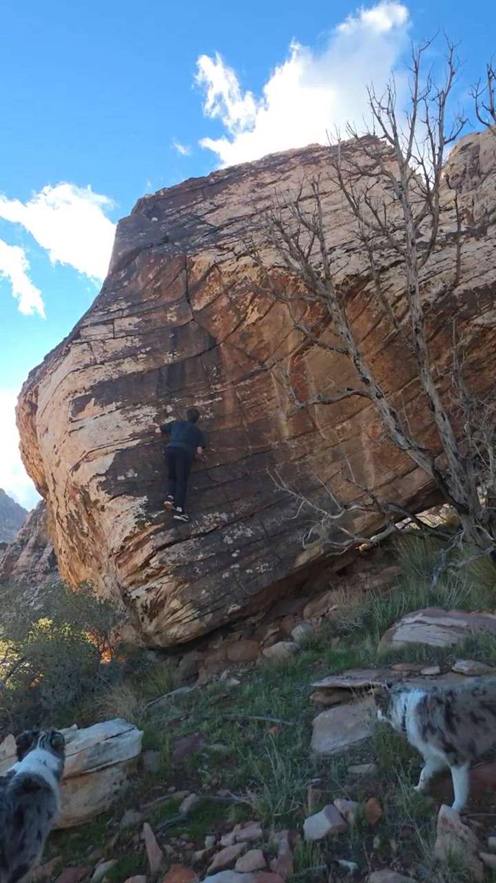 Off the Wagon v0, Red Rock - Beta Video from TinyDynos