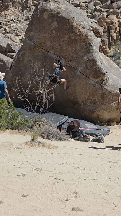 Swinging Richard v4, Joshua Tree - Beta Video from Anishfishsquish