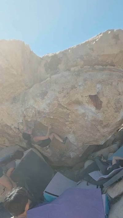 Turtle v6, Joshua Tree - Beta Video from Anishfishsquish