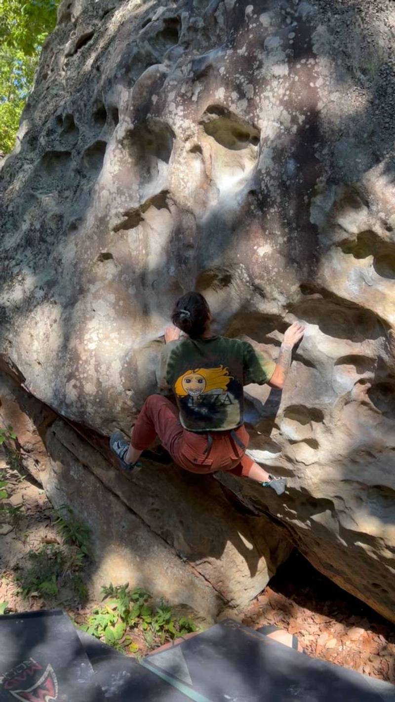 WASP v2, Horse Pens 40 - Beta Video from mckinleyav