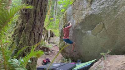 Flying Honey Badger v7, Index - Beta Video from cwongbeta
