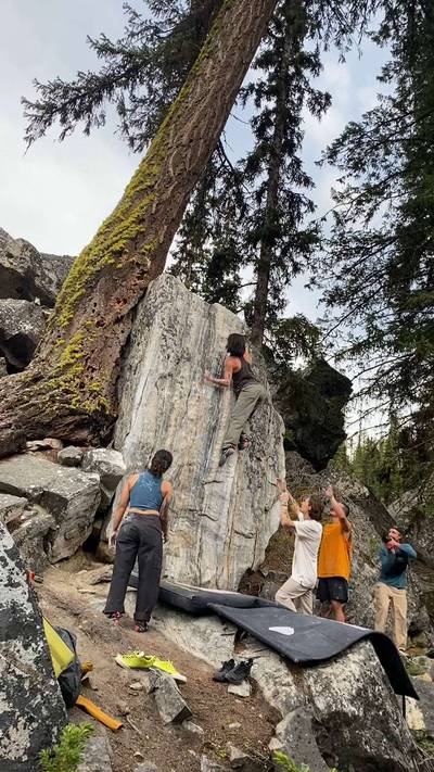 Butterscotch Ripple v3, Kelowna - Beta Video from MochisMom