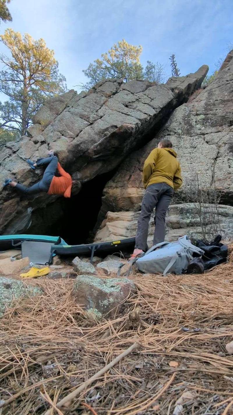 Nick Cave v5, Roy - Beta Video from GGLPBG