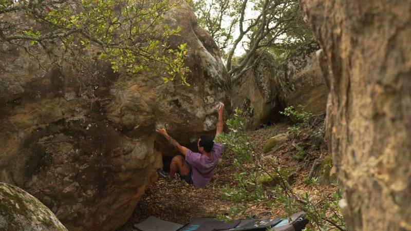 Chimera v7, Santa Barbara - Beta Video from breakingbeta