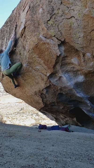 One Mule Wonder v9, Bishop - Beta Video from jenndbell