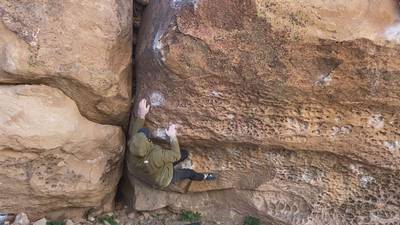 Hamtaro v8, Bishop - Beta Video from jonJON