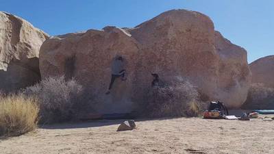 Boxer v2, Joshua Tree - Beta Video from j.k0000