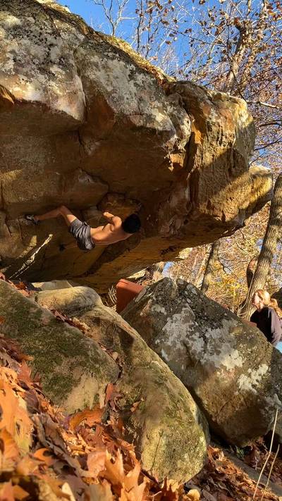 Electrallica v6, Cowell - Beta Video from purp
