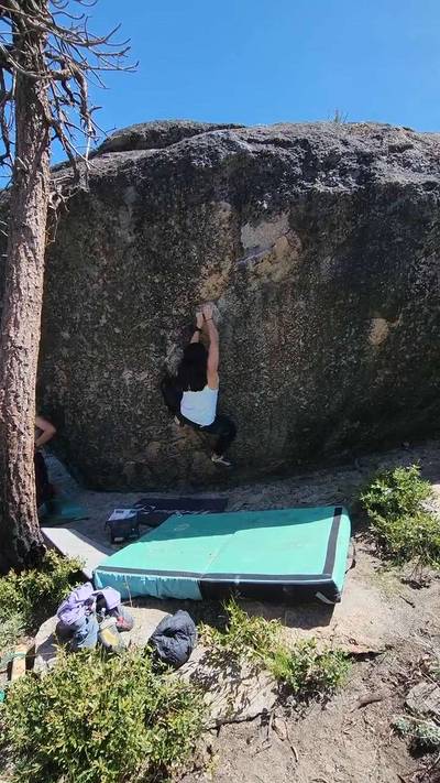 Deli Slicer v7, Lake Tahoe - Beta Video from Kay