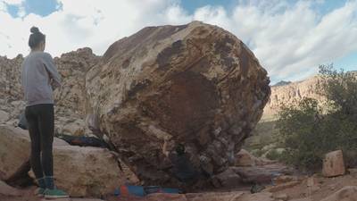Turtle on a Half Shell v5, Red Rock - Beta Video from TinyDynos